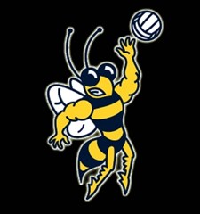 hpu vb