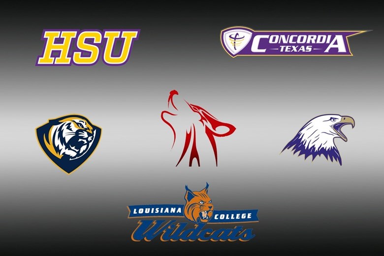 2015_SAAC_Team_Sportsmanship_Artwork